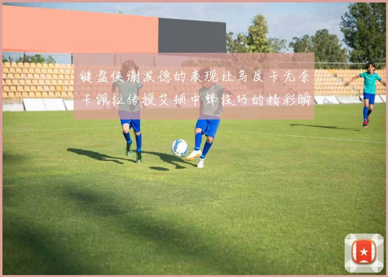 键盘侠谢泼德的表现让乌度卡无奈卡佩拉传授艾顿中锋技巧的精彩瞬间