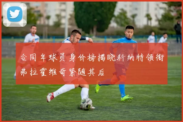 合同年球员身价榜揭晓科纳特领衔弗拉霍维奇紧随其后